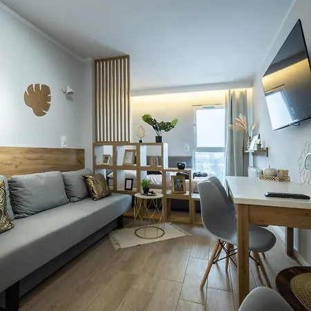 Apartment Wigurytower 102 Lodz (Lodz)