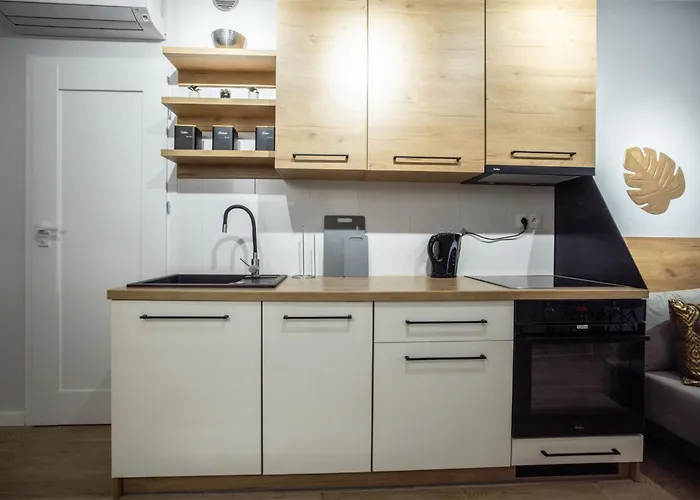 公寓 Wigurytower 102 罗兹