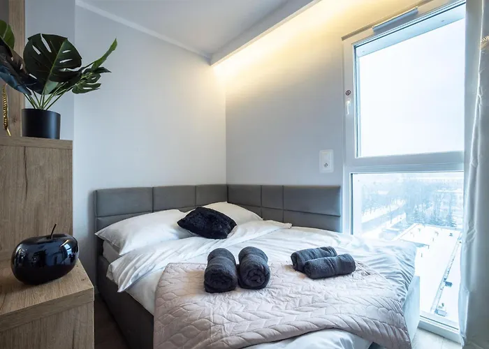 公寓 Wigurytower 102 罗兹